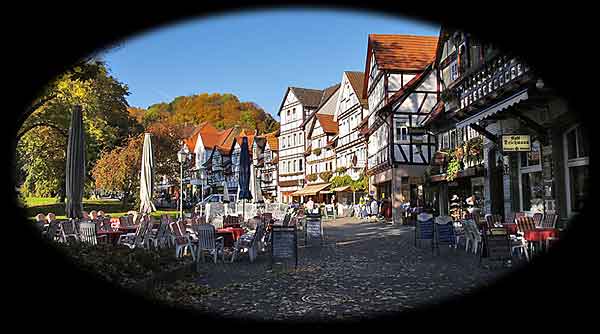 Auf der Weinreihe im Herbst