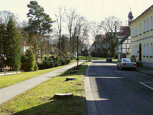 Kahlschlag-1