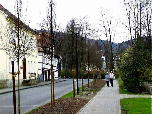 Anpflanzung-1