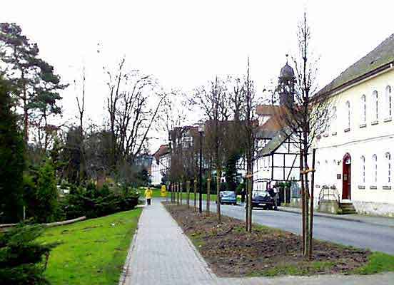 Anpflanzung-1