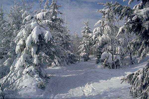 Winter