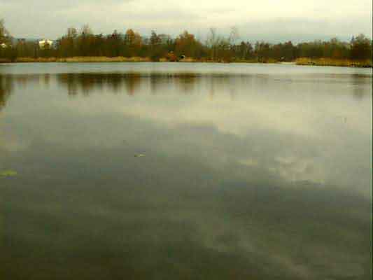 Teiche-53